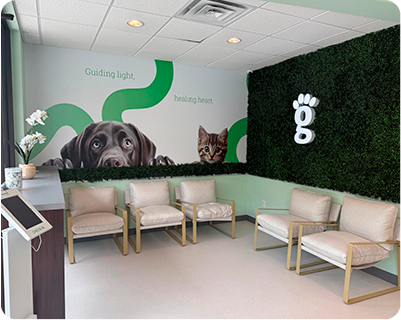 Greenlight Front desk