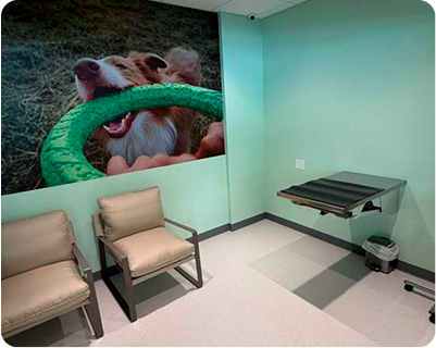 Greenlight Exam Room