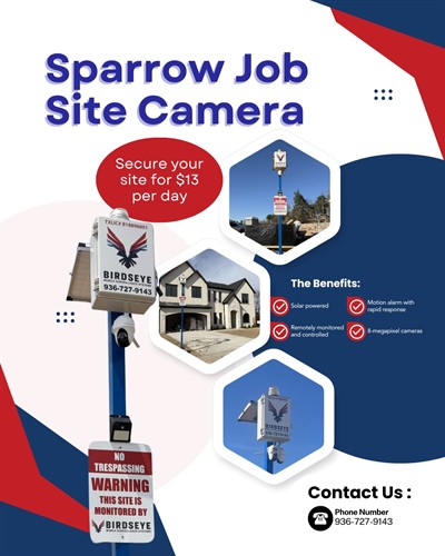 Gallery Image sparrow.jpg