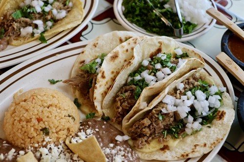 Flour tacos w/ cheese