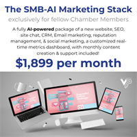 Velocity Partners Group - Spring