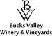 Canvas Paint Party at Bucks Valley Winery & Vineyards with aMuse Uncorked