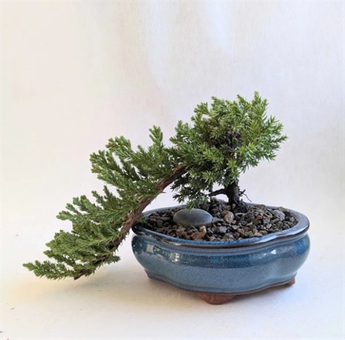 TODO
