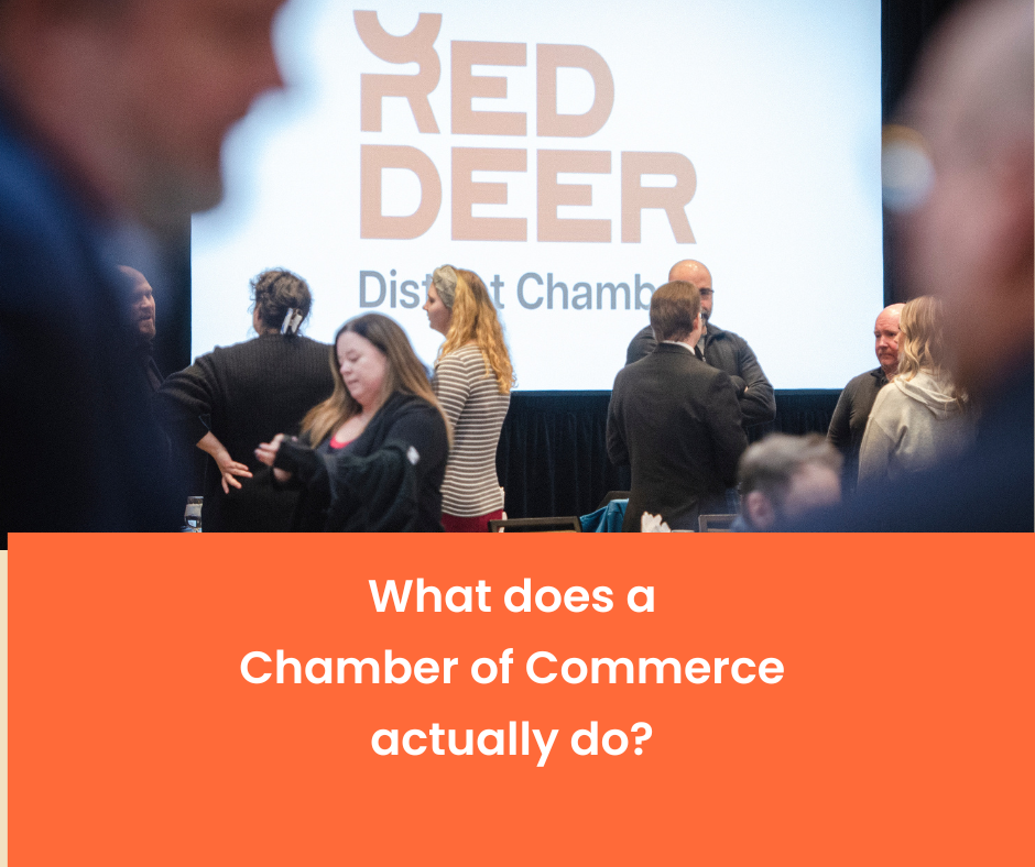 Image for ​What Does a Chamber of Commerce Actually Do?