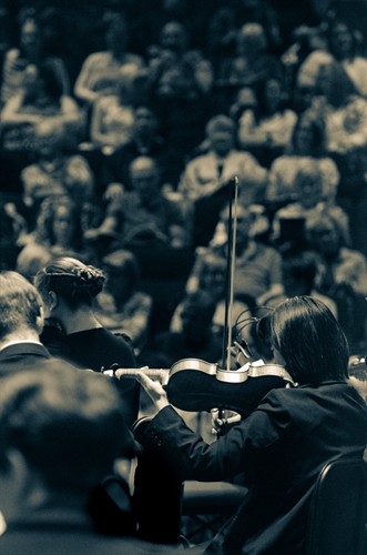 Gallery Image May24_The_SnapHappy_Photographer-47.jpg