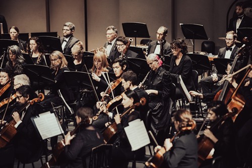 Gallery Image RDSO_Oct2025_The_SnapHappy_Photographer-33.jpg