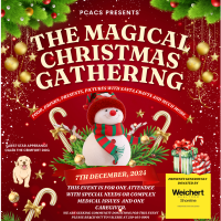 The Magical Christmas Gathering - A Christmas Party for Children with Special Needs/ Complex Medical Issues