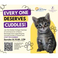 Paws & Recharge with the Chamber