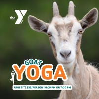 Goat Yoga