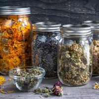 Basics of Herbalism