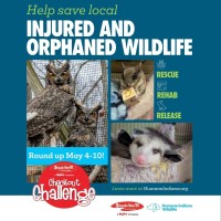 Strack & Van Til and Town & Country Launch Checkout Challenge Round-Up Campaign to Benefit Humane Indiana Wildlife