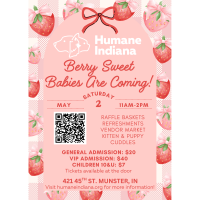 Humane Indiana to Host “Berry Sweet” Puppy & Kitten Baby Shower to Support Vulnerable Animals