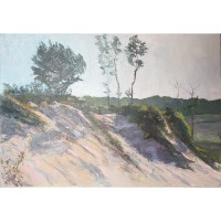 Site/Sight: Works from the Artist-in-Residence Program of the Indiana Dunes National Park