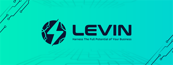 Levin Marketing Solution