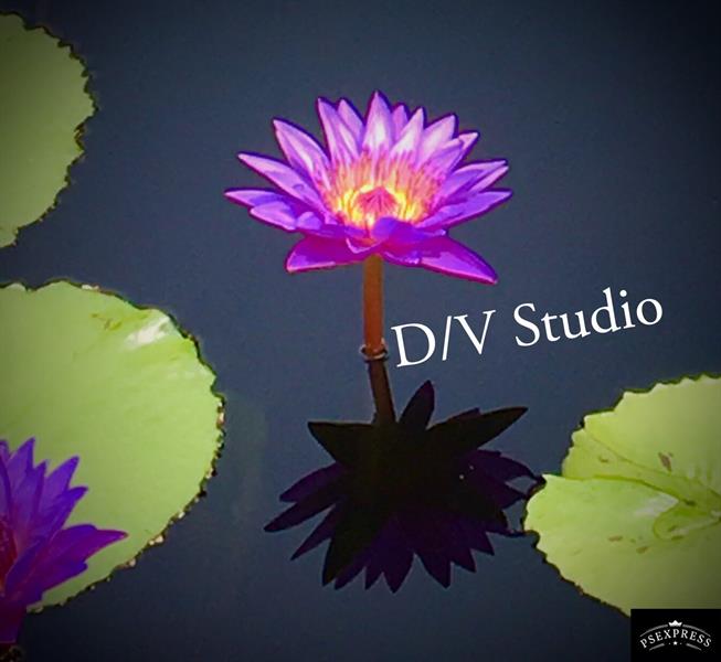 D/V Studio D/V Studio