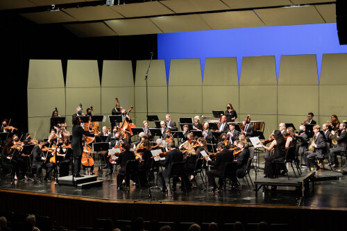 NSO musicians