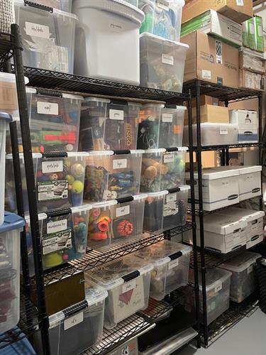 Created an organized basement storage