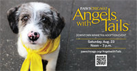 Angels with Tail Winnetka