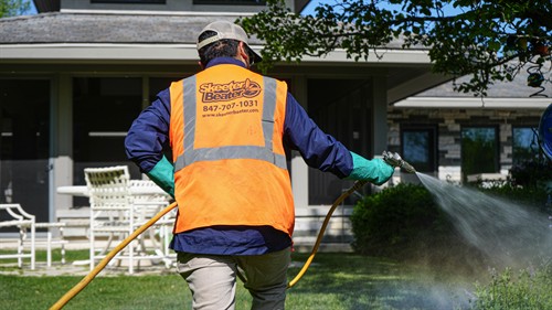 Gallery Image JOSEMuleSpray-4.jpg