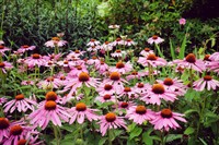 Fall Is the New Spring: Get Ready to See Autumn in a Whole New Light!