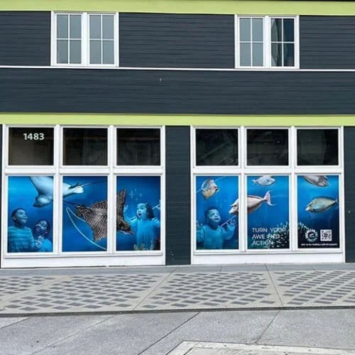 Window Graphics... from simple lettering to full blown window murals