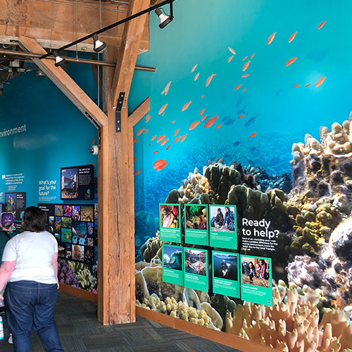 Wall Graphics and Murals installed by expert Crafts People