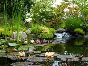 Highline Botanical Garden Foundation