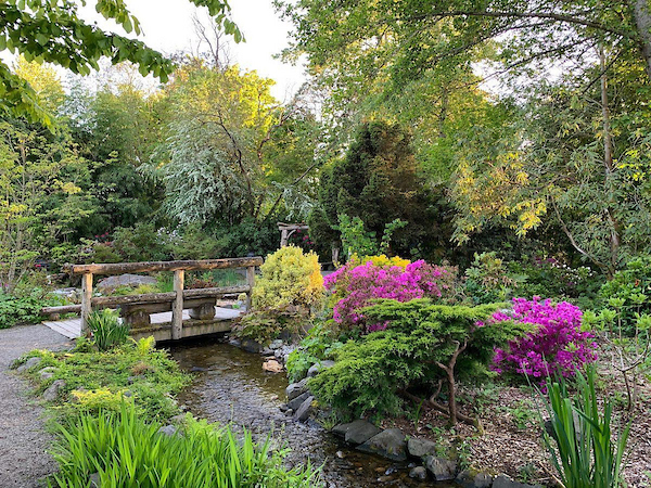 Gallery Image Highline_SeaTac_Botanical_Garden-Bridge_Stream.jpg