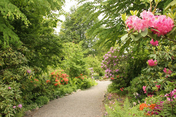 Gallery Image Highline_SeaTac_Botanical_Garden-Rhodes_path.jpg
