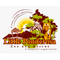 Little Ponderosa Zoo & Rescue Community Day at the Zoo 2022