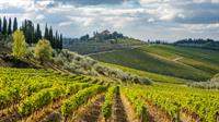 Spotlight on Tuscany - Save $400.00 with Yes! Go Travel