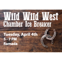 Wild Wild West Ice Breaker Mixer
