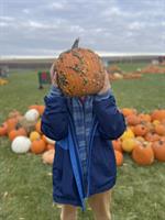 11th Annual Pumpkins in the Patch