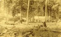 Bay View at 150 - History Talk