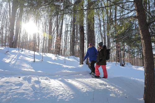 Snowshoe on our Trails