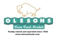 Oleson's Food Store