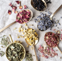 Lucy Leaf Tea Making Class