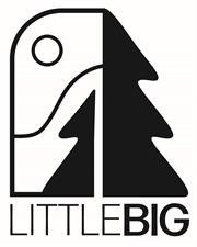 Little Big LLC.