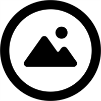 Tree Timber Services