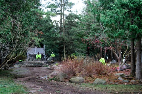 Photo of Tree Timber Services working outside.