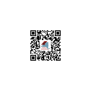Gallery Image WNY_Scholars_Foundation_.png Gallery Image WNY_Scholars_Foundation_.png