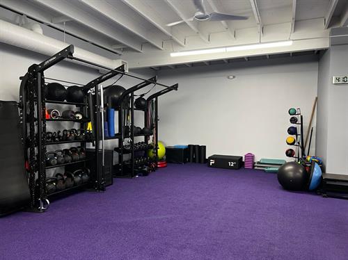 Purple Turf / Functional Training Area