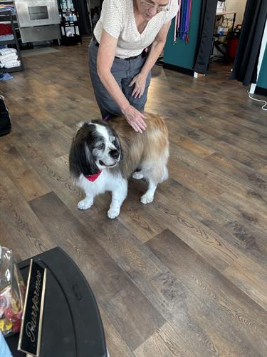 Gallery Image IMG_4966.jpeg