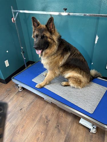 Gallery Image IMG_4974.jpeg