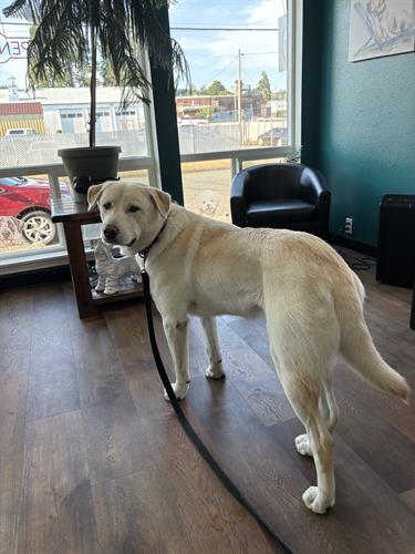 Gallery Image IMG_5002.jpeg