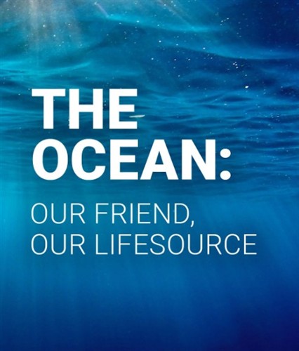 Gallery Image Screenshot_2026-01-28_144441.jpg