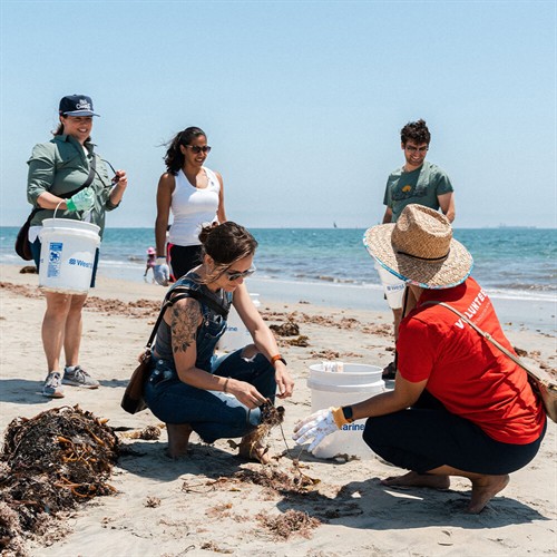 Gallery Image mission-network.jpg