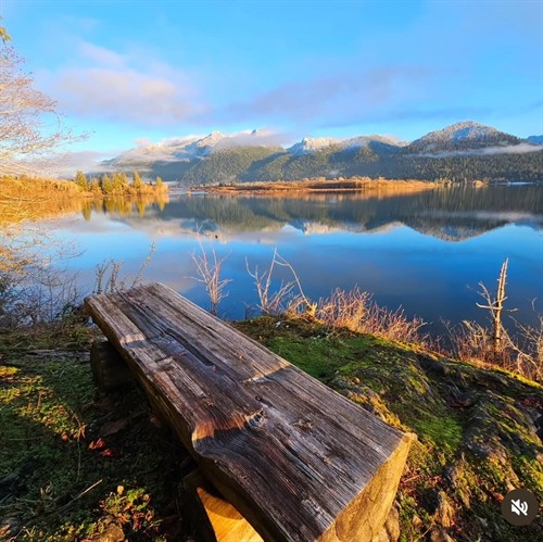 Gallery Image lochaerie_lake_quinalt.jpg