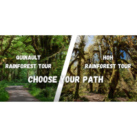 Lake Quinault Lodge Guided Rainforest Tours Return on April 2