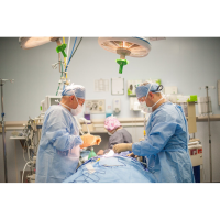 Remembering Dr. Juris Macs and a Lifetime of Caring for Grays Harbor 